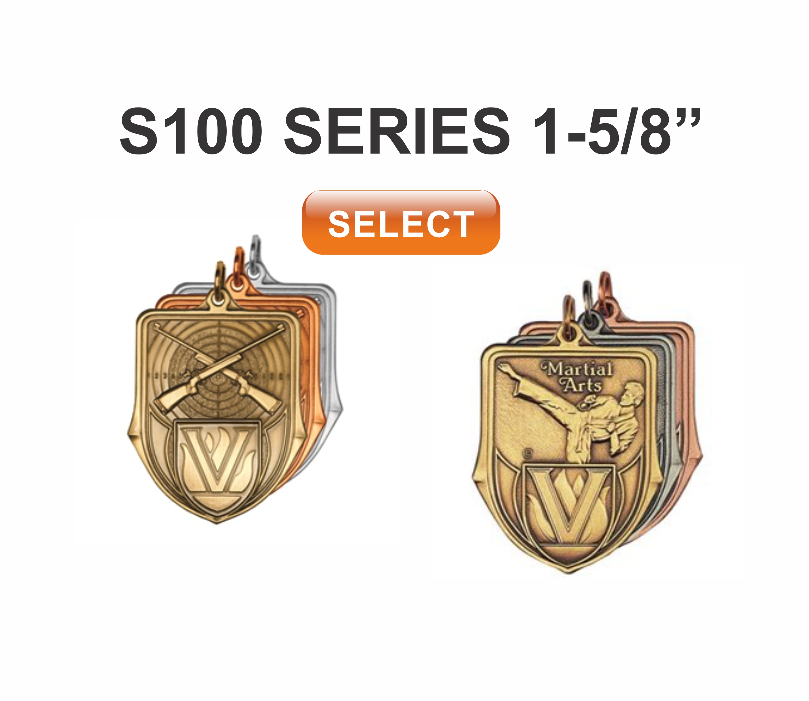 s100 series award medals